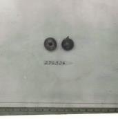 Click for 1 image(s) for this accession. FRUIT
